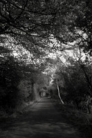 The Walk