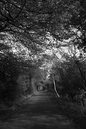 The Walk