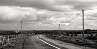 The Road Home