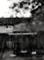 Rainy Day