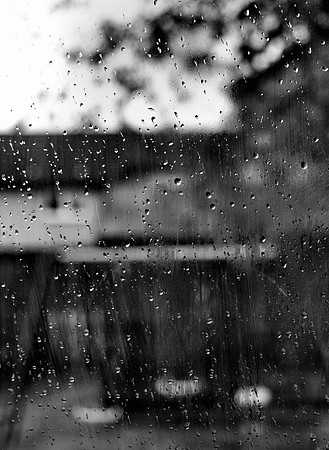 Rainy Day