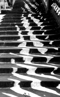 The Steps