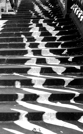 The Steps