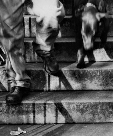 Footsteps