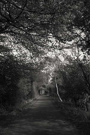 roadlochoremeadowsalteredsepiazf