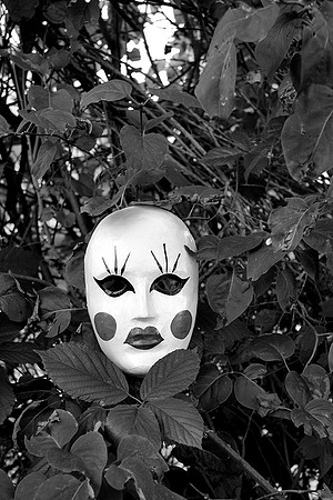 The Watcher