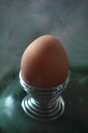 The Egg
